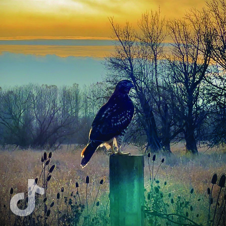 Visit Vancouver WA on TikTok
